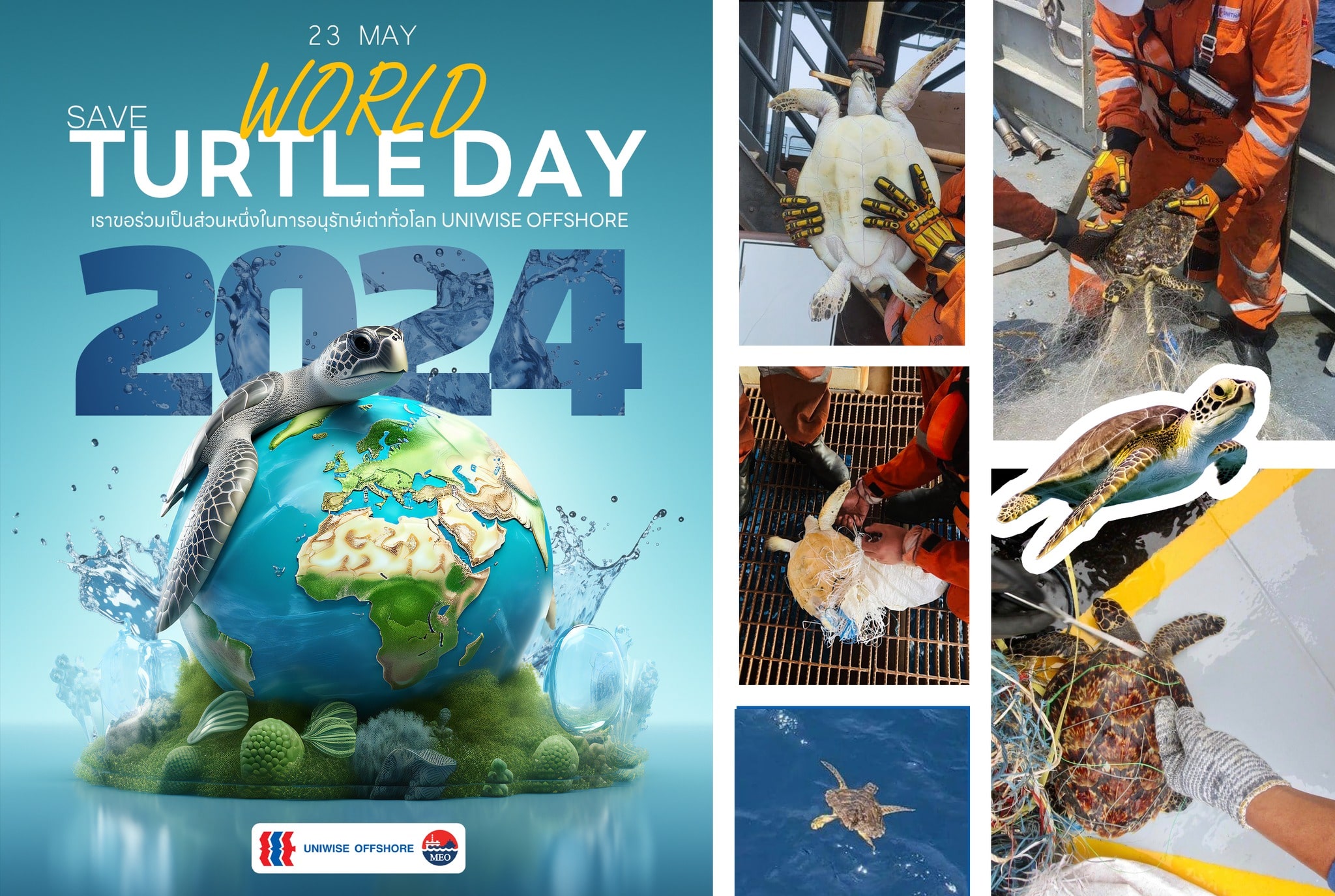 WORLD TURTLE DAY 2024